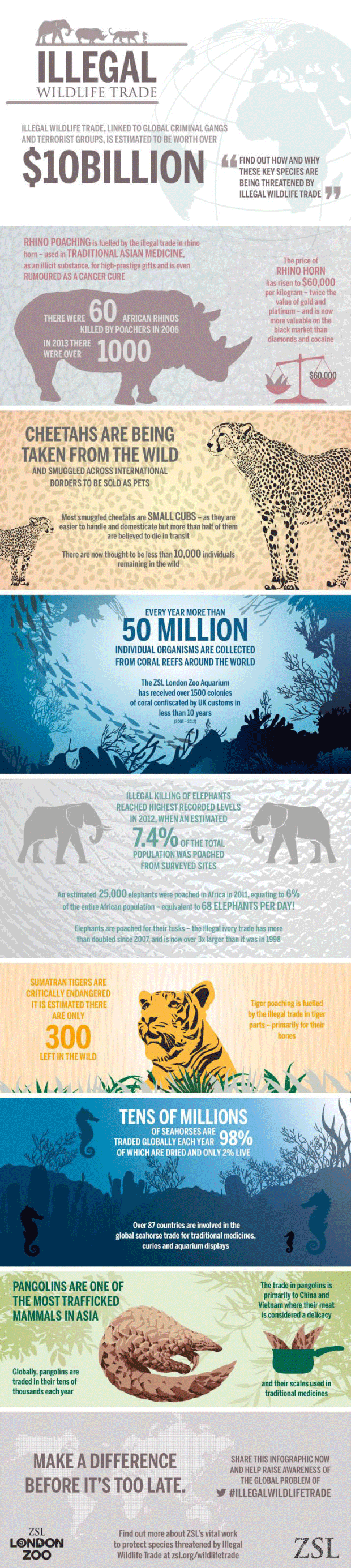 Infographic Illegale handel van wilde dieren 