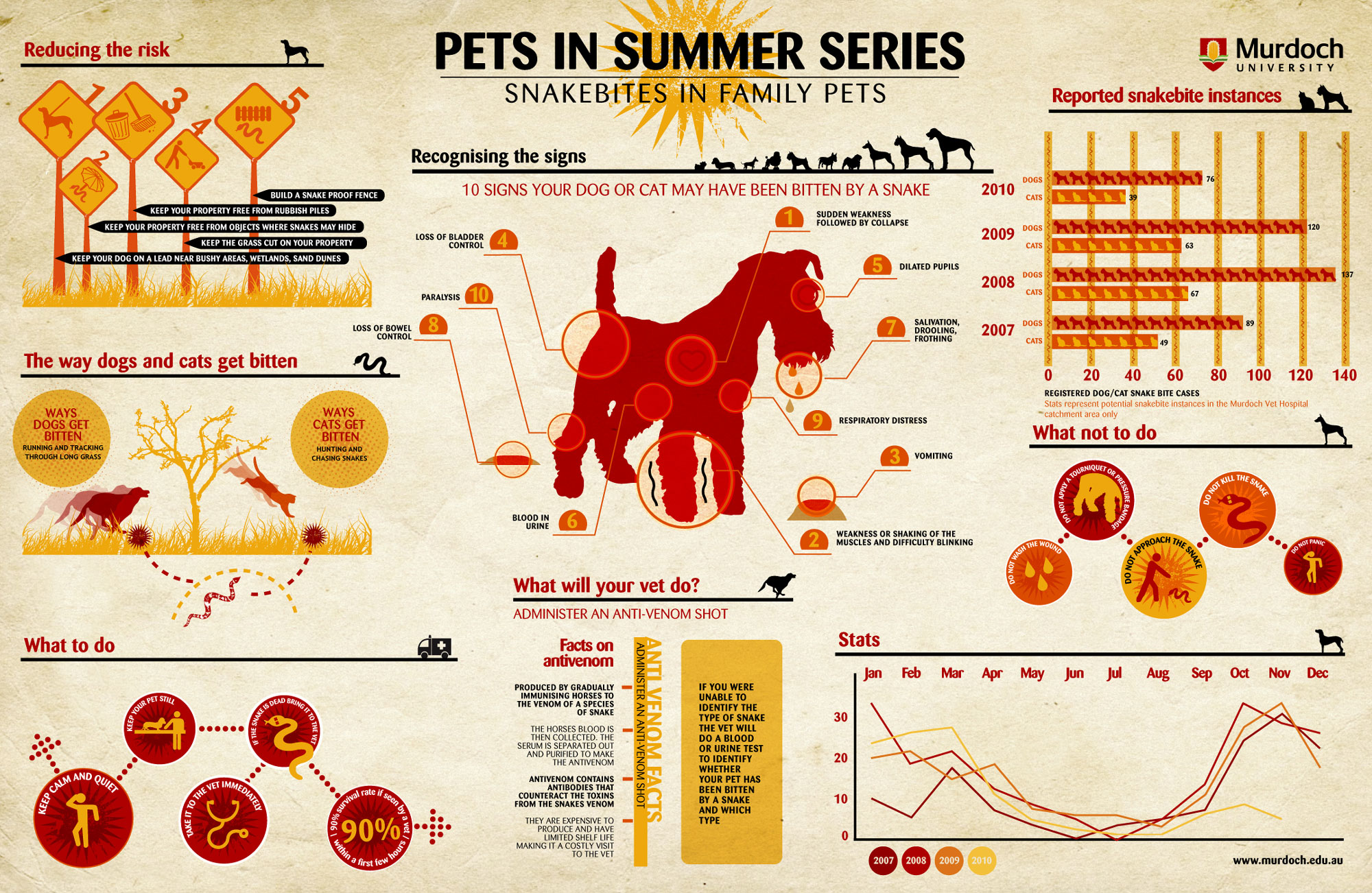Infographic Slangenbeten bij huisdieren 
