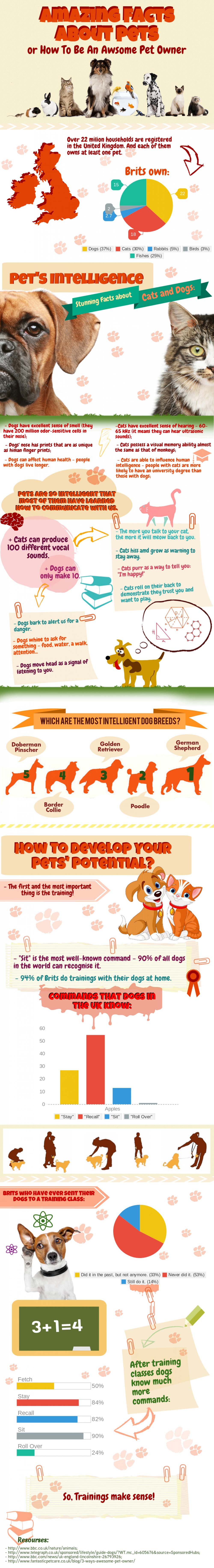 Infographic Geweldige feiten over huisdieren 