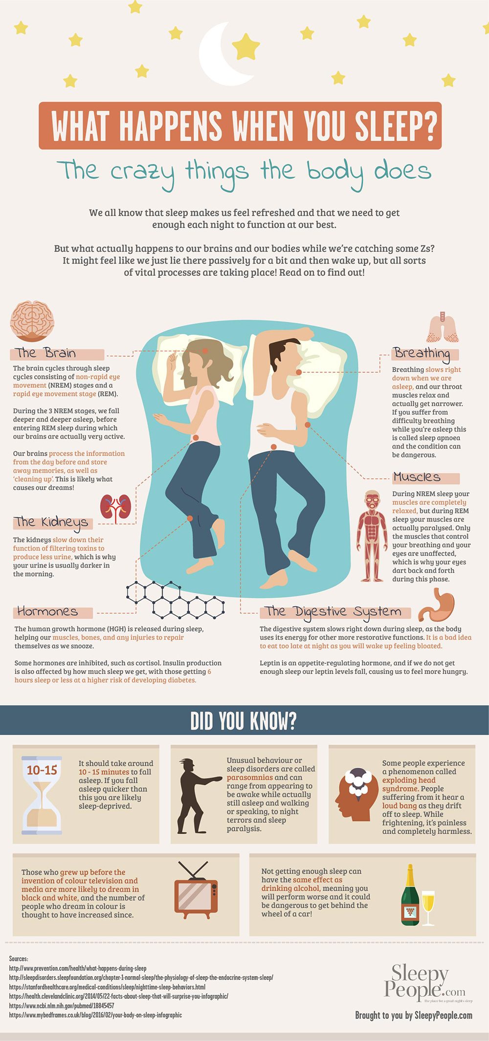 Infographic Wat er met je lichaam gebeurt als je slaapt