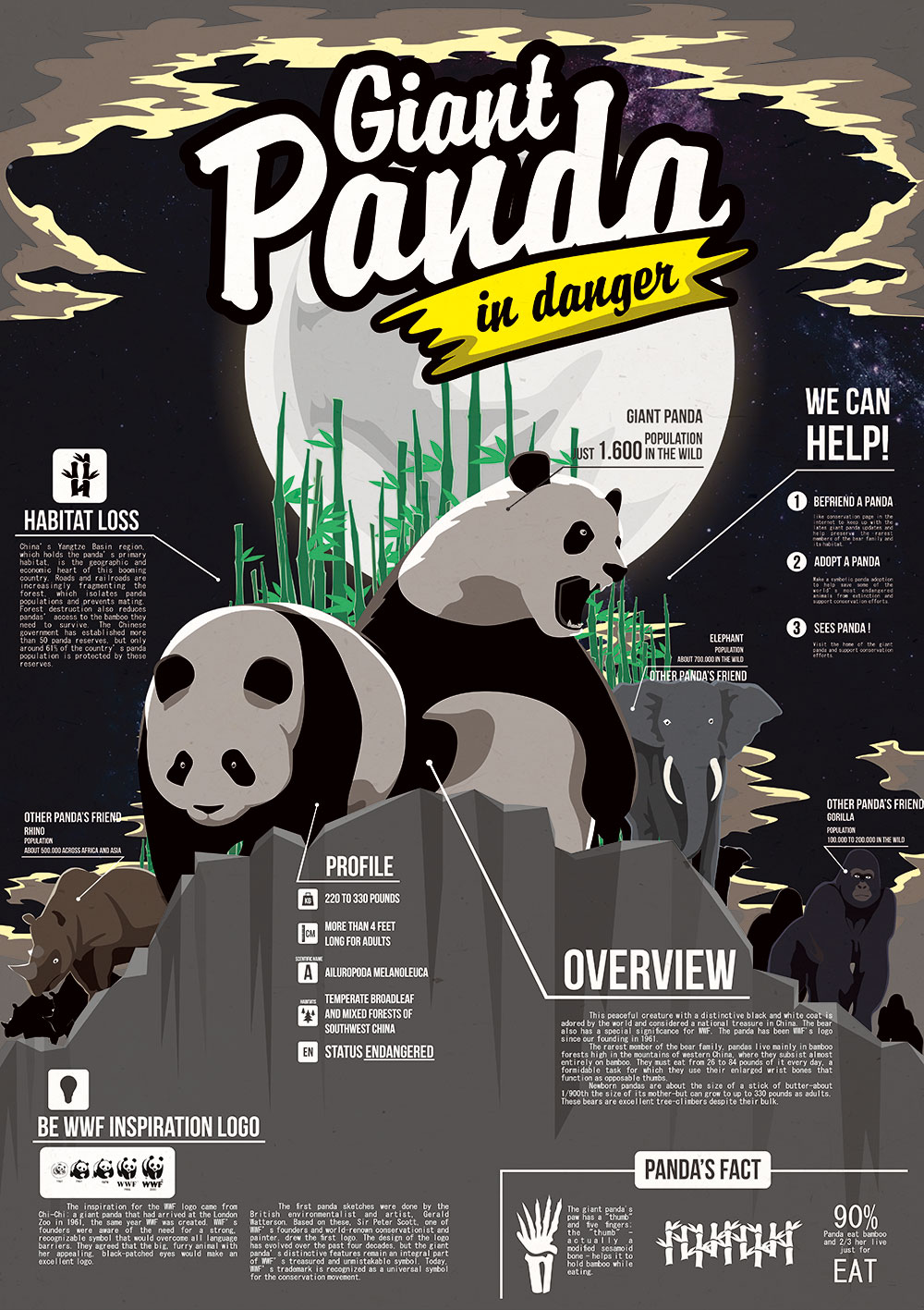 Infographic Panda's waarom zijn er zo weinig