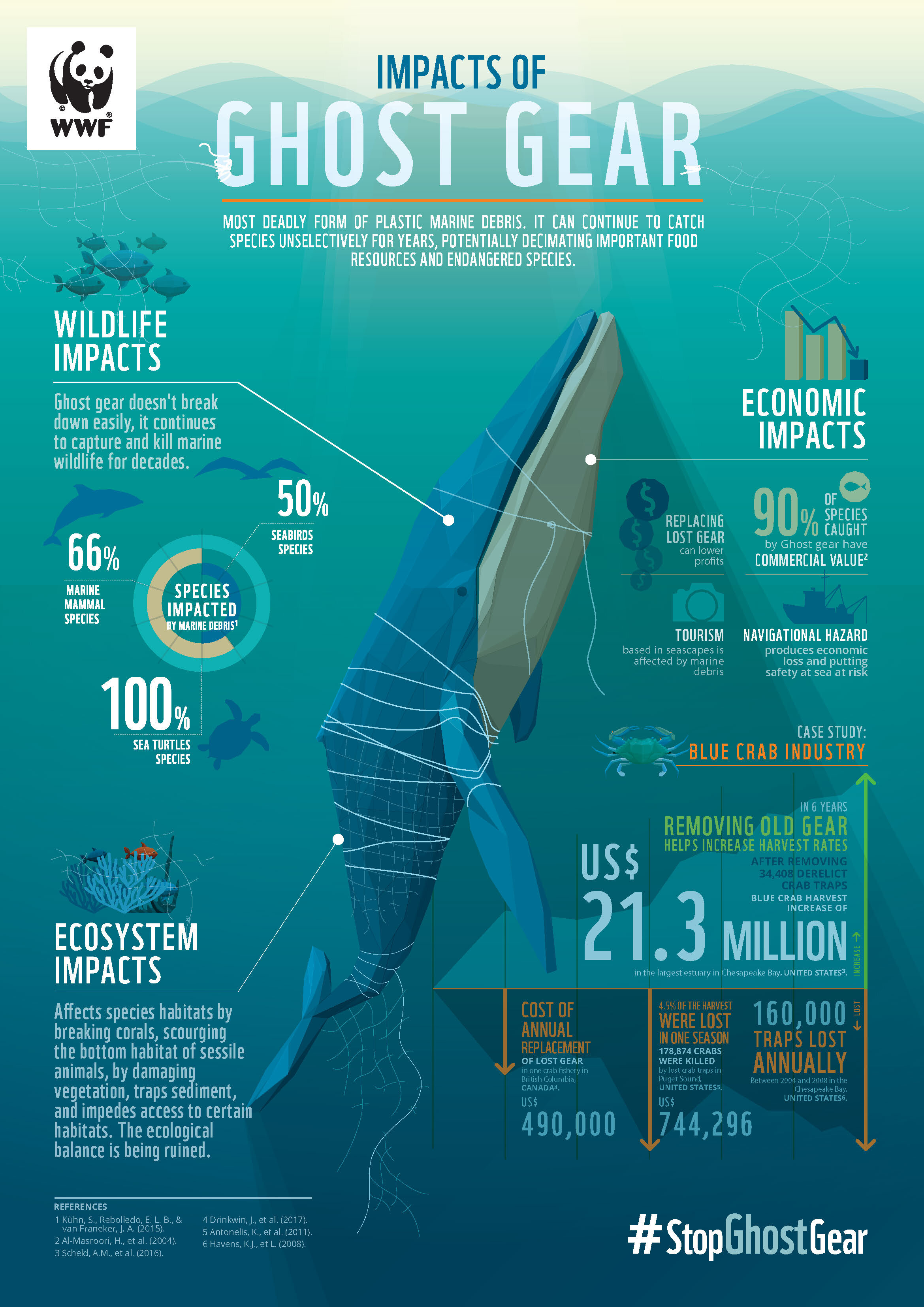 Deze afbeelding legt uit hoe visnetten het ecosysteem van zeedieren kan verstoren