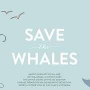 red de dieren: walvissen