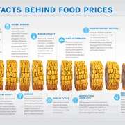 feiten achter voedselprijzen infographic