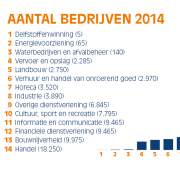 Thumbnail Utrecht in cijfers infographic