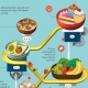 Infographic die een aantal handige voedsel feitjes weergeeft