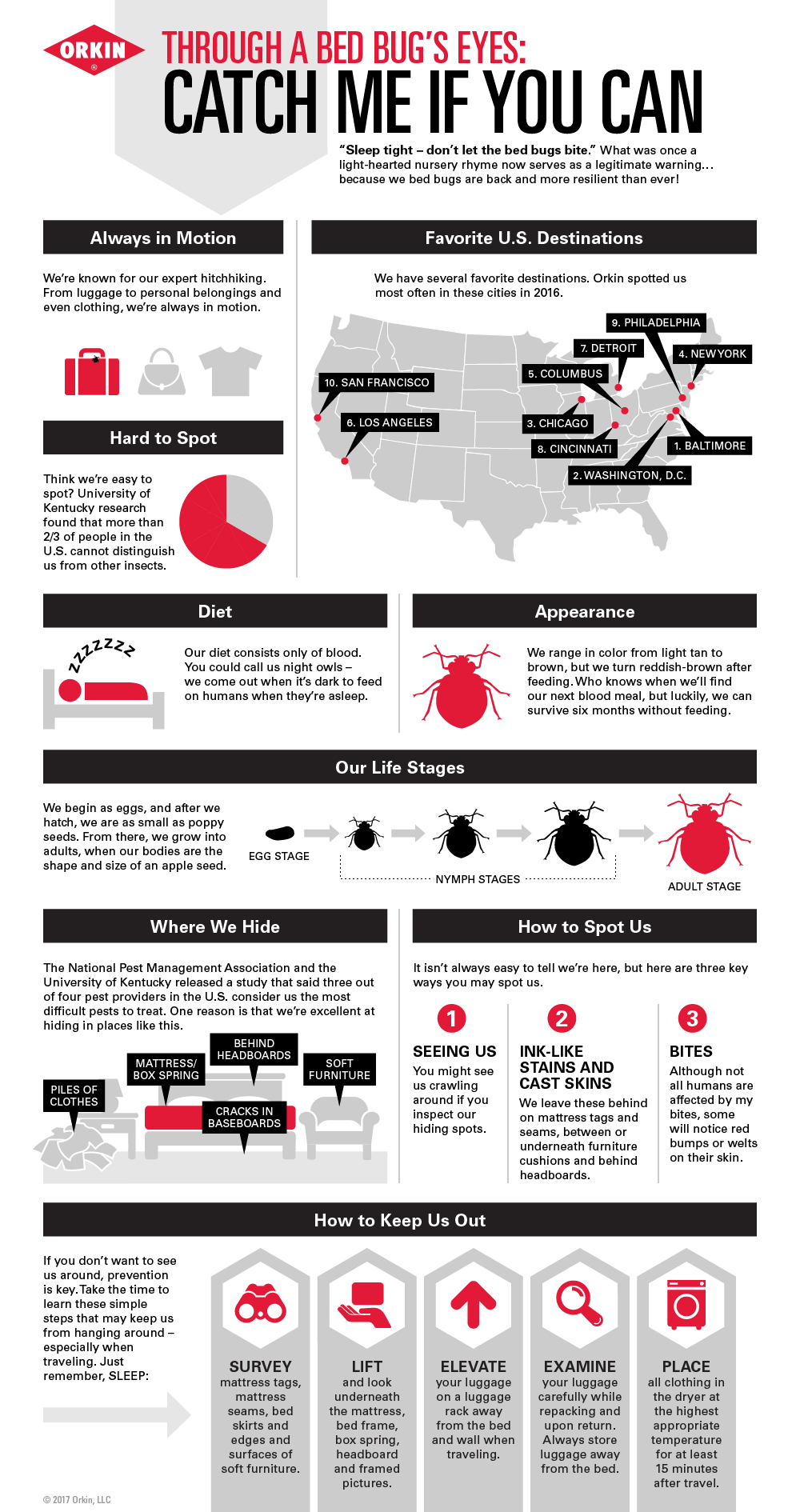 Een infographic over bedwantsen.