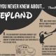 Disney feitjes infographic Thumbnail