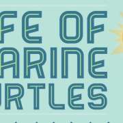 Thumbnail infographic leven marine schildpad.