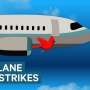 Infographic over wat er gebeurd wanneer een vogel in de motor van een vliegtuig komt