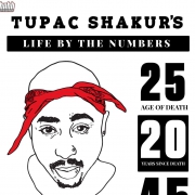 infographic Het leven van Tupac Shakur's in cijfers