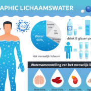 infographic lichaamswater